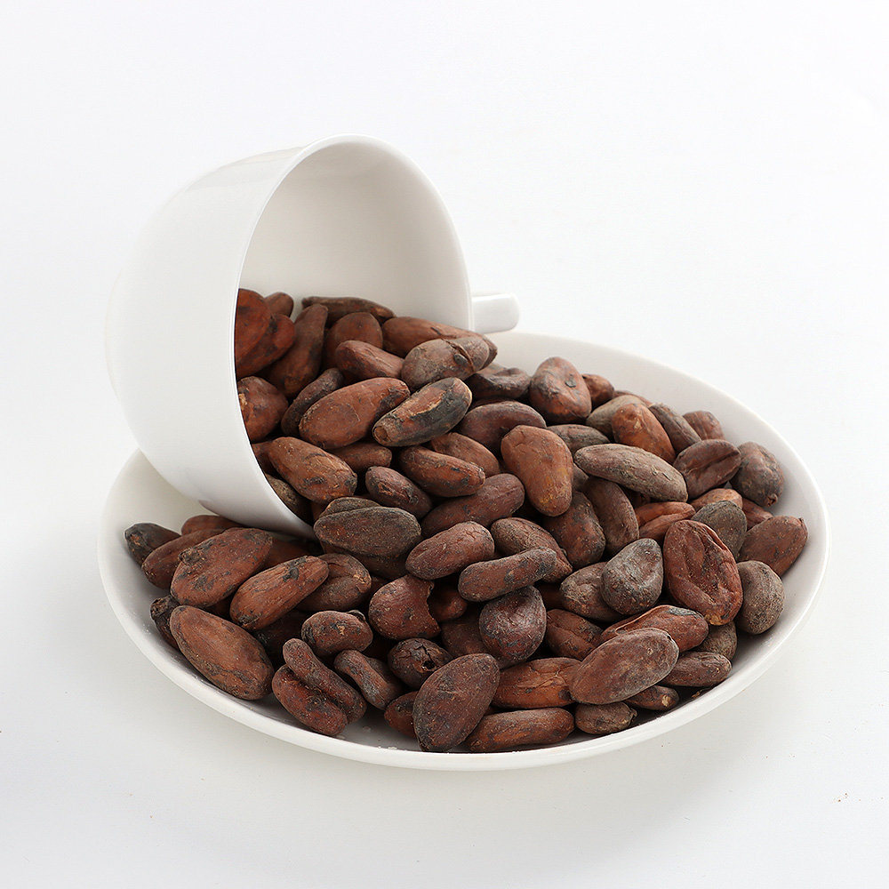 生豆2.jpg
