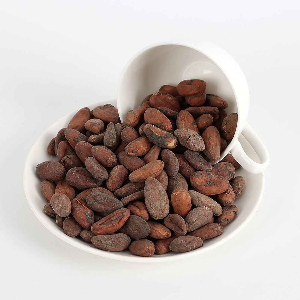生豆4.jpg
